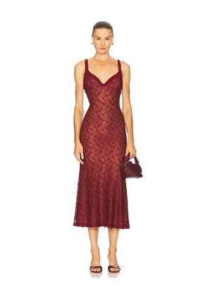 Bardot Alegra Stretch Lace Midi Dress in Burgundy. Size 4. Also in 6, 8.