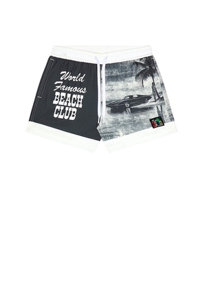 Duvin Design World Famous Swim Short in Black. Size M. Also in L, XL/1X.