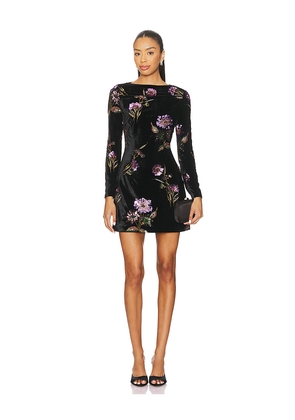 ELLIATT Clio Long Sleeve Mini Dress in Black. Size M. Also in S, XS.