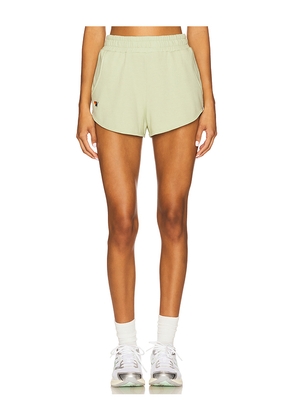 Aviator Nation Essential Club Short in Green. Size M. Also in XS, L, XL.