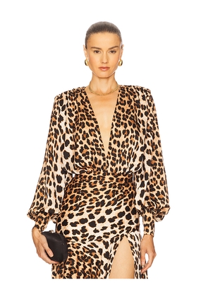 Bronx and Banco Noelle Leopard Bodysuit in Brown. Size XS. Also in S.