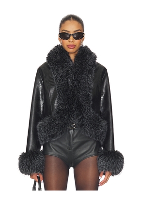 Adrienne Landau Ivy Jacket in Black. Size L. Also in M.