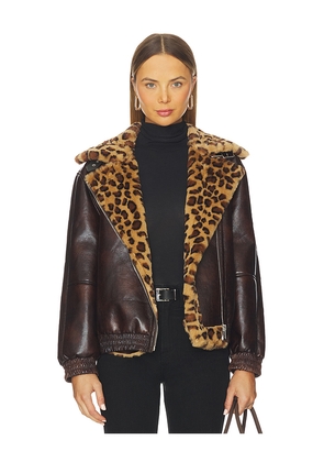 BLANKNYC Faux Leather Jacket in Brown. Size M. Also in L, S, XS.