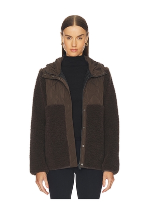 Alp N Rock Tahoe Hoodie Jacket in Brown. Size M. Also in L.