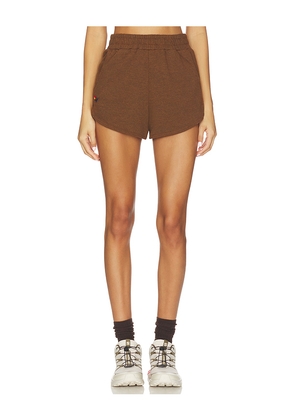 Aviator Nation Essential Club Short in Brown. Size M. Also in XS, S, XL.