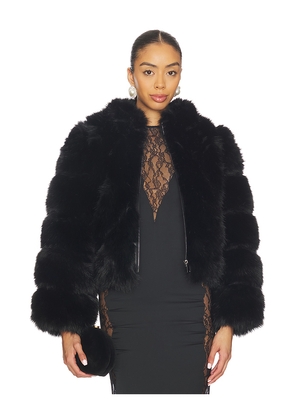 Adrienne Landau Icon Fur Jacket in Black. Size M. Also in L, S.