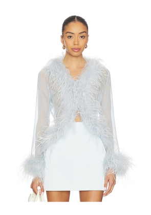 Bubish Gigi Sheer Feather Blouse in Baby Blue. Size L. Also in XL.