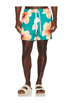 Duvin Design Bloom Swim Shorts in Green. Size M. Also in S, L, XL/1X.