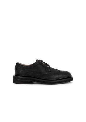 ALLSAINTS Escher Brogue Shoe in Black. Size 11. Also in 8, 10, 12, 13.