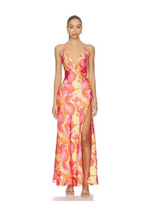 Bardot Yve Halter Maxi Dress in Pink. Size 10. Also in 12, 2, 4, 6, 8.