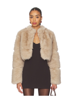 Adrienne Landau Faye Jacket in Tan. Size M. Also in S.