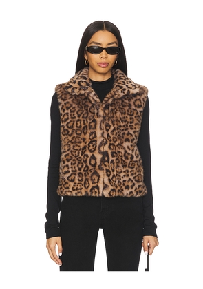 Adrienne Landau Printed Rabbit Vest in Brown. Size M. Also in L, S.