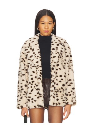 BLANKNYC Teddy Coat in Brown. Size M. Also in L, S, XS.