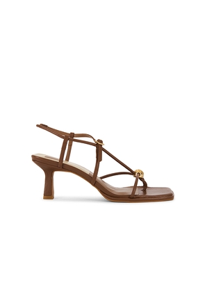 Dolce Vita Mylee Sandal in Cognac. Size 6. Also in 6.5, 7, 7.5, 8, 8.5, 9, 9.5, 10.