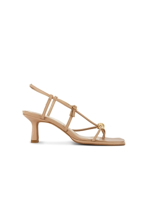 Dolce Vita Mylee Sandal in Tan. Size 6. Also in 6.5, 7, 7.5, 8, 8.5, 9, 10.