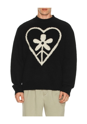ALLSAINTS Finden Crew Neck Sweater in Black. Size M. Also in S, L, XL/1X.