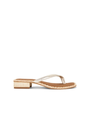 Dolce Vita Barty Sandal in Metallic Gold. Size 6. Also in 6.5, 7, 7.5, 8, 8.5, 9, 9.5, 10.