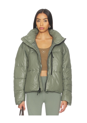 adidas by Stella McCartney True Nature Short Padded Jacket in Sage. Size S. Also in XS, M.