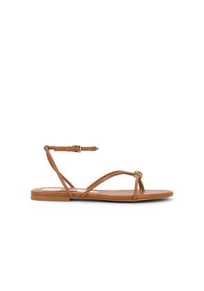 Dolce Vita Kenley Sandal in Brown. Size 6.5. Also in 6, 7, 10.