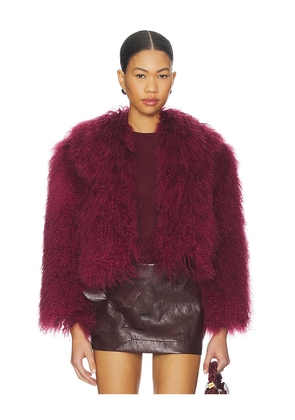 Bubish Georgina Jacket in Burgundy. Size S. Also in L, XS.