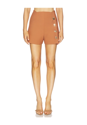 Alexis Xander Shorts in Brown. Size M. Also in XS, S, L, XL.