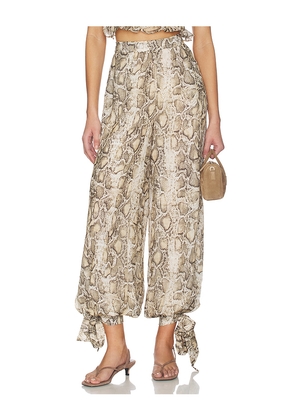 Bardot Alira Printed Balloon Pant in Brown. Size 10. Also in 4, 6, 8.