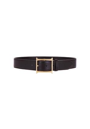 Helsa Logo Belt in Brown. Size M. Also in L, S, XS.