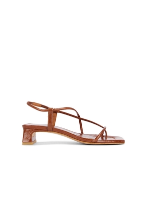 INTENTIONALLY BLANK Anca Sandal in Brown. Size 38. Also in 36, 41.