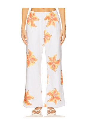 Juliet Johnstone Straight Leg Sweatpant in White. Size XL/1X. Also in XS, S.