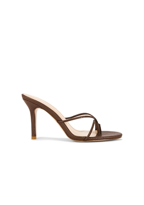 FEMME LA Sicilian Sandal in Chocolate. Size 6. Also in 7, 8, 9.