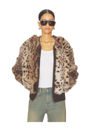 Jaded London Bear Faux Fur Jacket in Brown. Size S. Also in M.