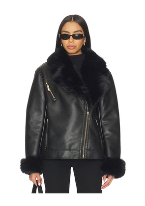 Generation Love Walt Faux Fur Shearling Moto Jacket in Black. Size M. Also in XS, S, L, XL.