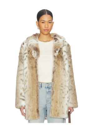 MAJORELLE Tatiana Faux Fur Coat in Beige. Size M. Also in XXS, XS, S.