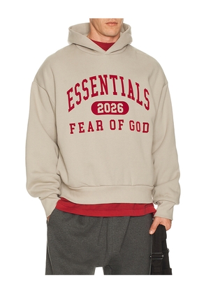 Fear of God ESSENTIALS Classic Hoodie in Grey. Size M. Also in L, S, XL/1X, XS, XXL/2X.