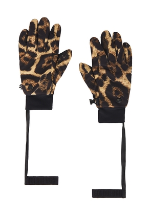 Goldbergh Softy Gloves in Black. Size 7. Also in 7.5.