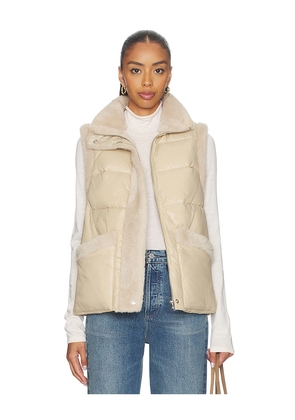 HEARTLOOM Serra Vest in Neutral. Size M. Also in XS, S, L.