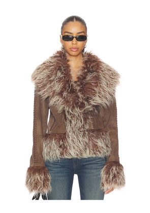Jaded London Mongolian Faux Fur Jacket in Brown. Size M. Also in S, L.