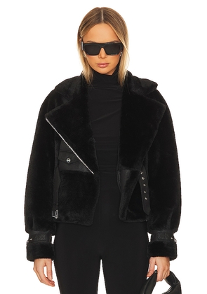 LAMARQUE Elody Jacket in Black. Size M. Also in L, S, XL.