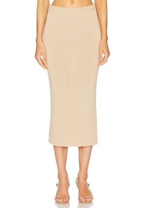 L'Academie by Marianna Della Midi Skirt in Neutral. Size XL. Also in XS.