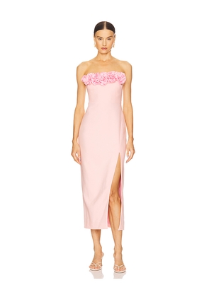 LIKELY Catania Dress in Rose. Size 10. Also in 0, 2, 4, 6, 8.