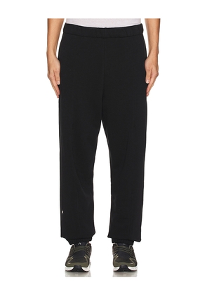 On Club Pants in Black. Size M. Also in L, S, XL/1X.