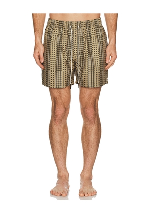 OAS Regalia Swim Shorts in Brown. Size S. Also in XL/1X.