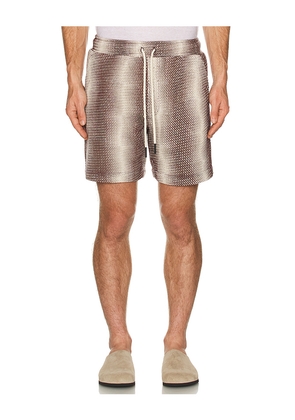 OAS Merlot Echo Net Shorts in Burgundy. Size S. Also in L.