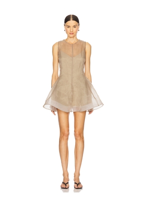 L'Academie by Marianna Blaire Mini Dress in Taupe. Size M. Also in XXS, XS, S, L, XL.