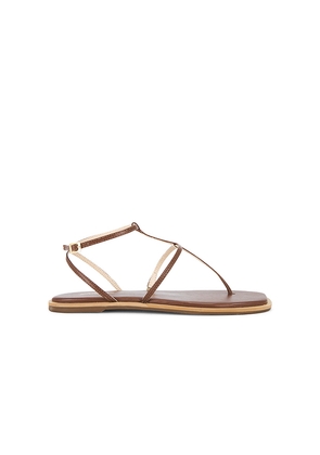 Kaanas Aisha Strappy Gladiator Sandal in Tan. Size 7. Also in 8, 9, 11.
