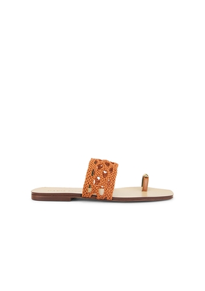 Maria Luca Mennia Capri Sandal in Brown. Size 37. Also in 36.5, 37.5, 38, 38.5, 39, 39.5.