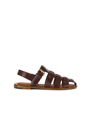 Mansur Gavriel Fisherman Sandal in Chocolate. Size 37. Also in 36.