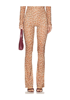 KNWLS Halcyon Legging in Burnt Orange. Size XS. Also in S.