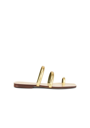 Maria Luca Monica Capri Sandal in Metallic Gold. Size 37. Also in 36.5, 38.