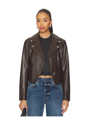 LAMARQUE Pascale Jacket in Brown. Size L. Also in M, S, XS.